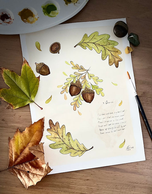 Quercus